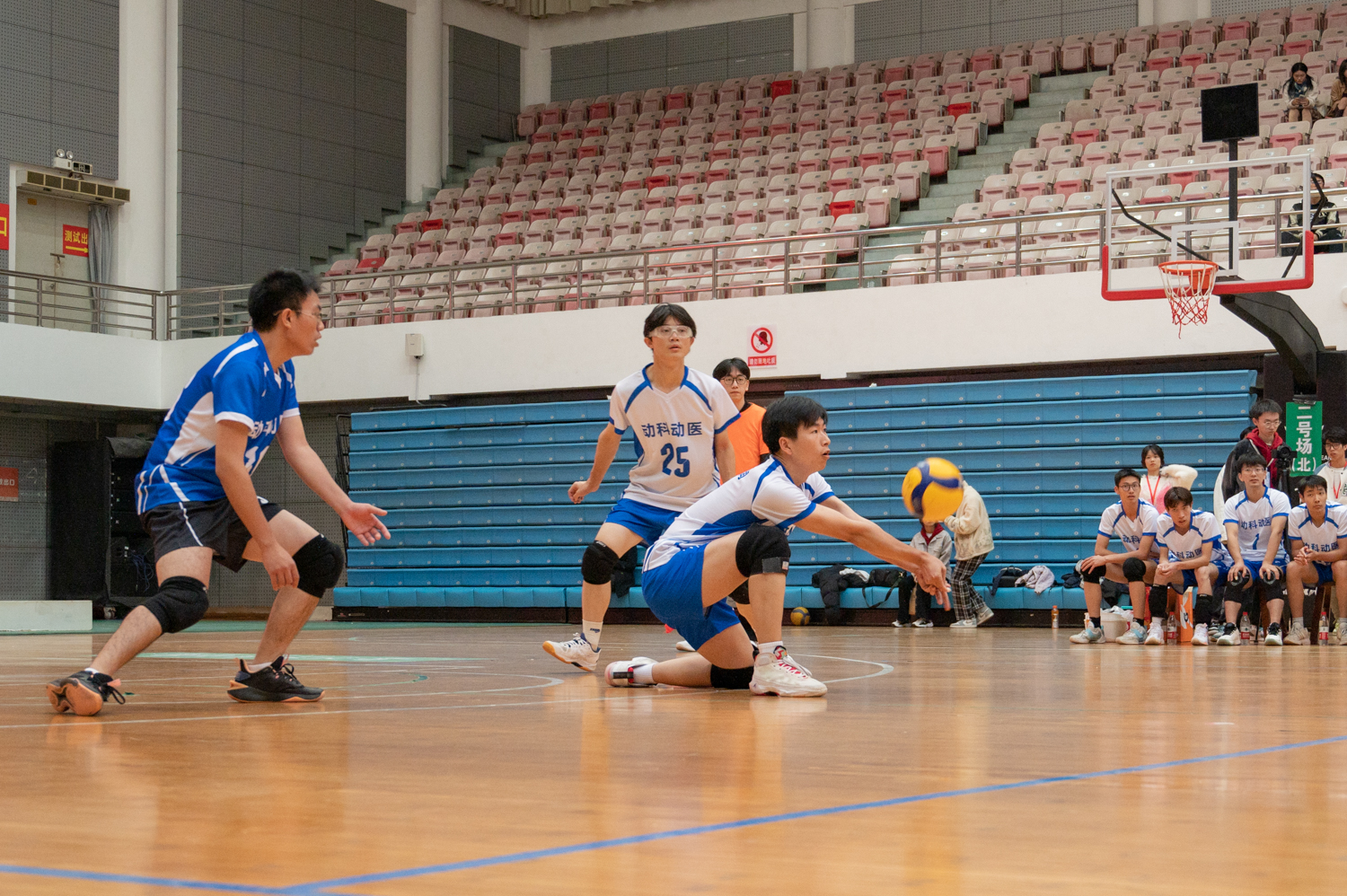 88看球直播
3号接球（学通社记者 许可 摄）