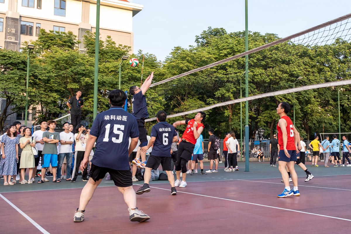 进攻与拦网(学通社记者 曹钟允 摄)