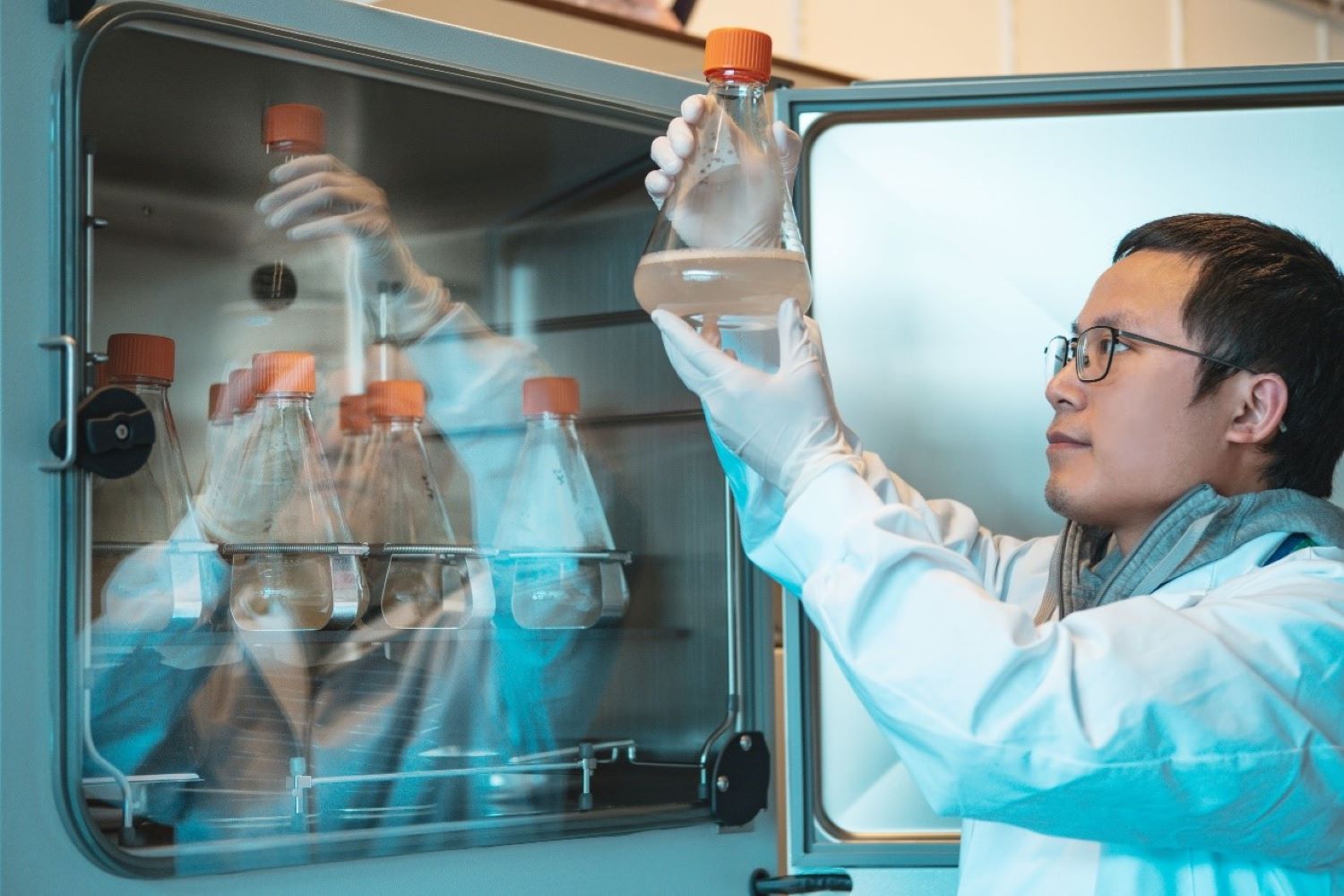 李文涛教授在观察细胞培养情况 李文涛教授在观察细胞培养情况